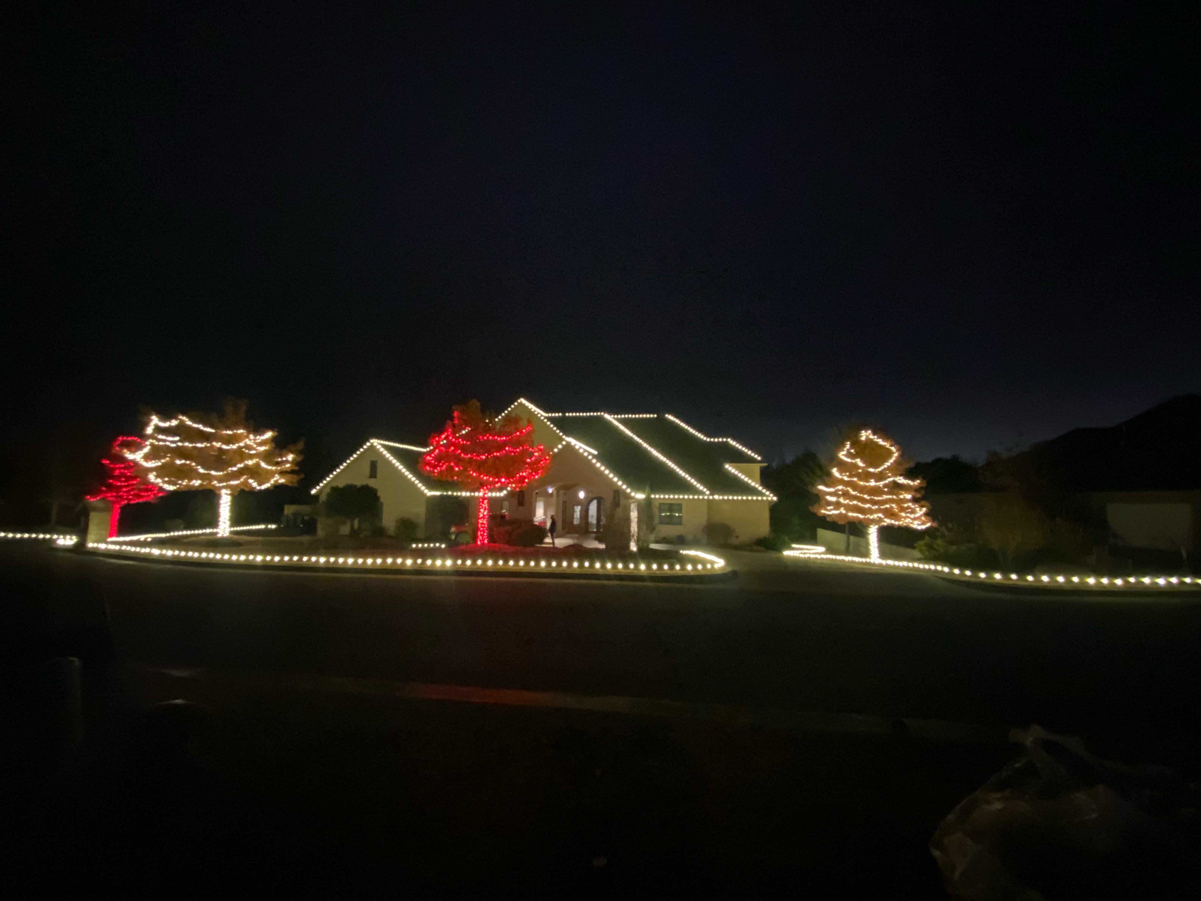 Complete whole-yard Christmas light installation including trees, roofline, and driveway lighting in Edmond
